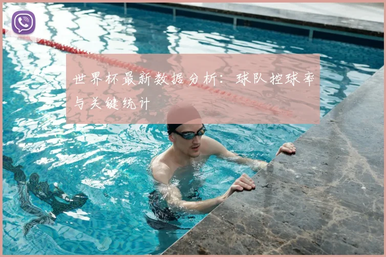 世界杯最新数据分析：球队控球率与关键统计