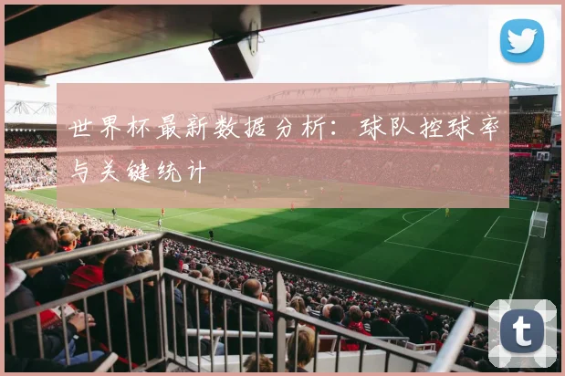 世界杯最新数据分析：球队控球率与关键统计